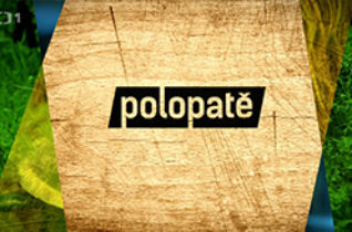 Po lopate
